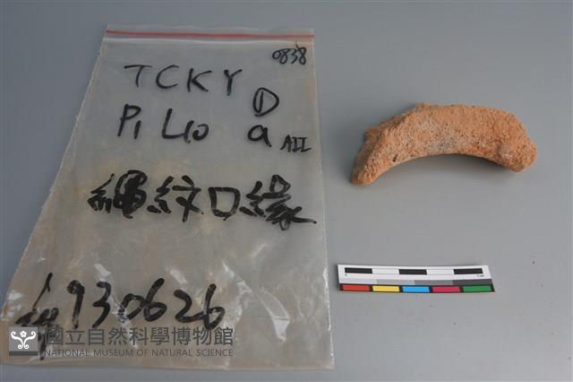 陶片藏品圖，第3張