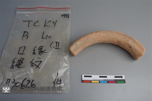 陶片藏品圖，第3張