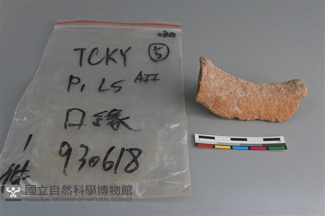 陶片藏品圖，第3張