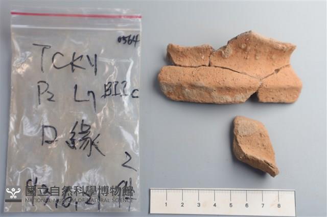 陶片藏品圖，第3張