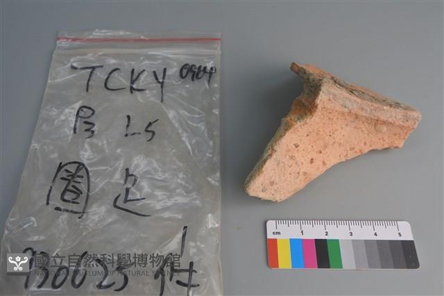 陶片藏品圖，第3張