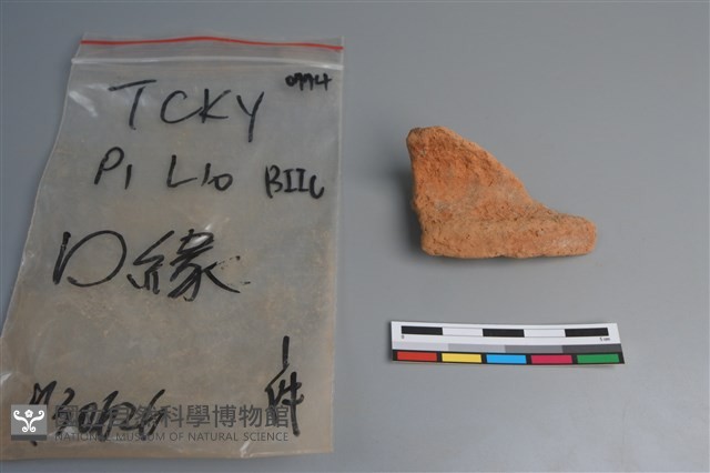 陶片藏品圖，第3張