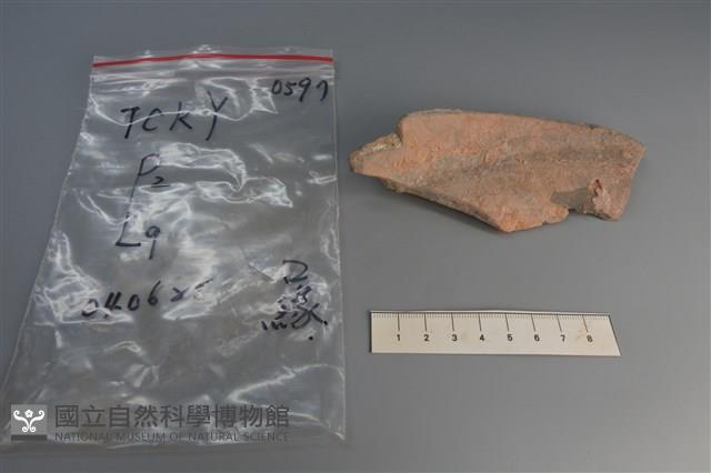 陶片藏品圖，第2張