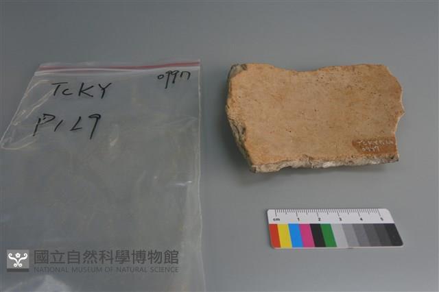 陶片藏品圖，第2張