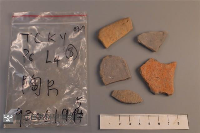 陶片藏品圖，第2張
