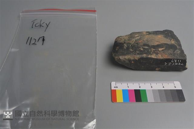 陶片藏品圖，第2張