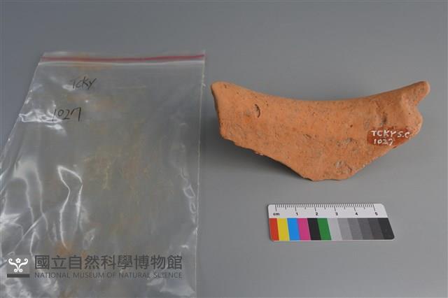 陶片藏品圖，第2張