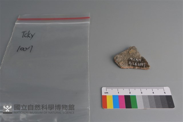 陶片藏品圖，第2張