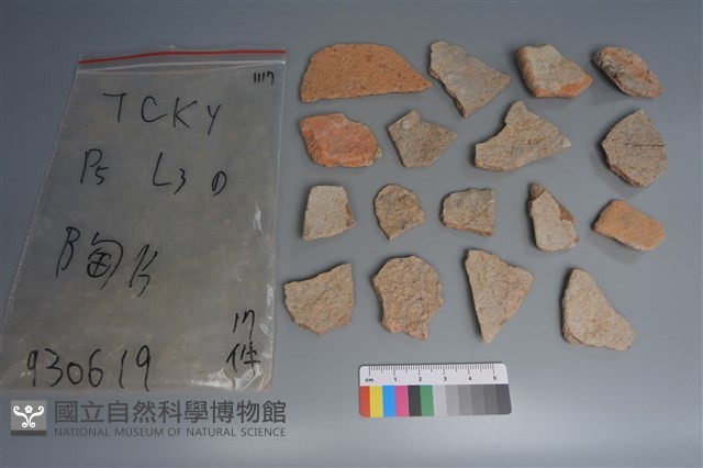 陶片藏品圖，第2張