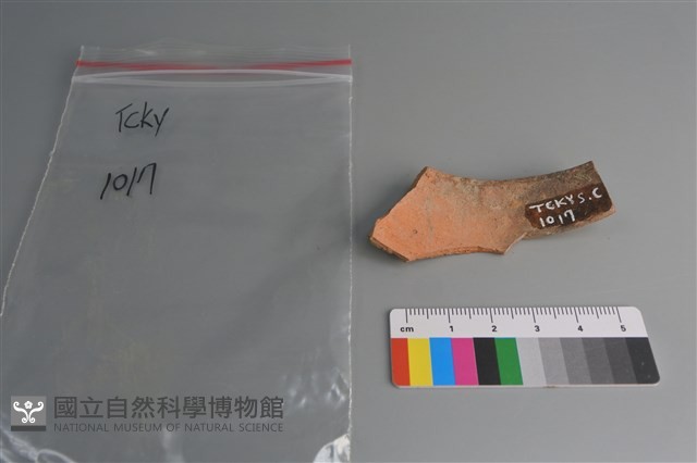陶片藏品圖，第2張