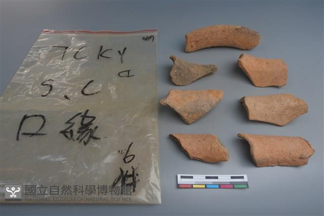 陶片藏品圖，第2張