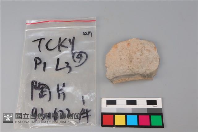 陶片藏品圖，第2張