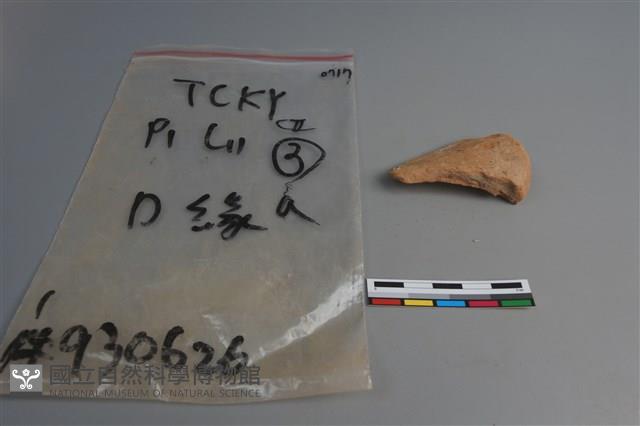 陶片藏品圖，第2張