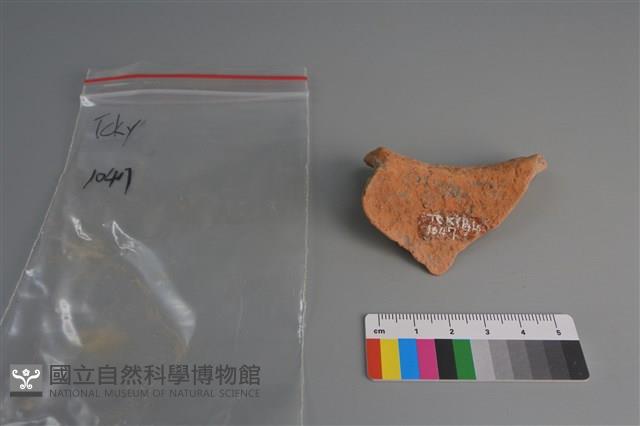 陶片藏品圖，第2張