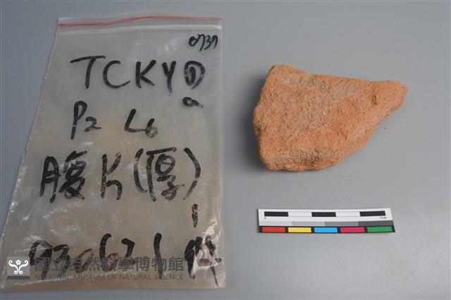 陶片藏品圖，第2張