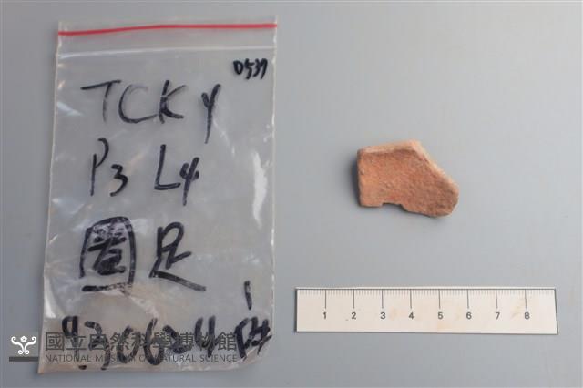 陶片藏品圖，第2張