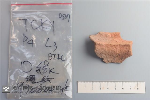 陶片藏品圖，第2張