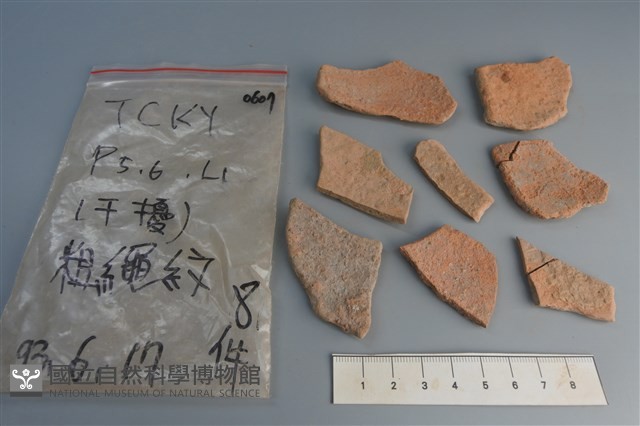 陶片藏品圖，第2張
