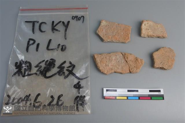 陶片藏品圖，第2張