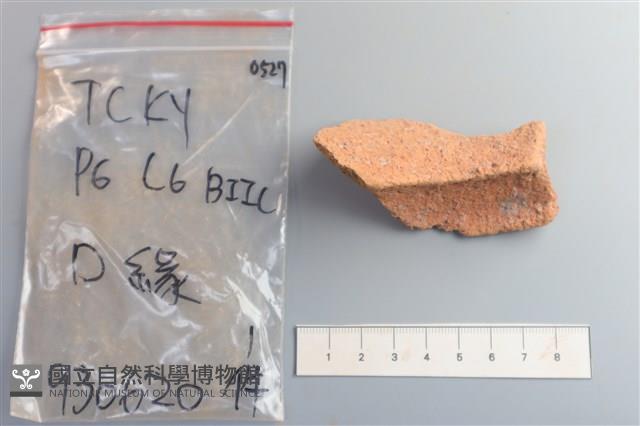 陶片藏品圖，第2張