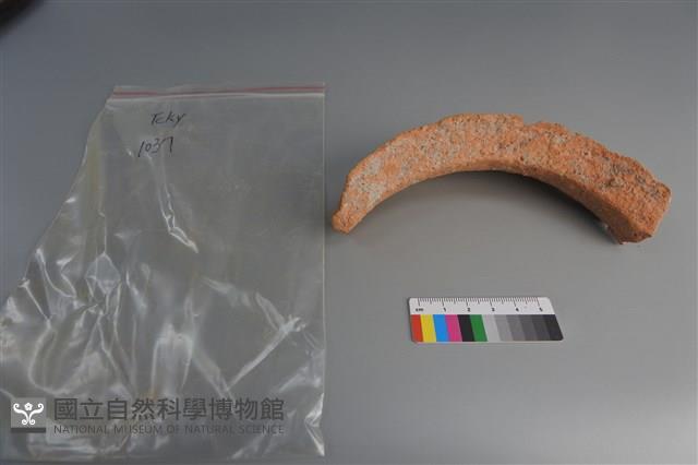 陶片藏品圖，第2張