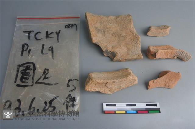 陶片藏品圖，第2張