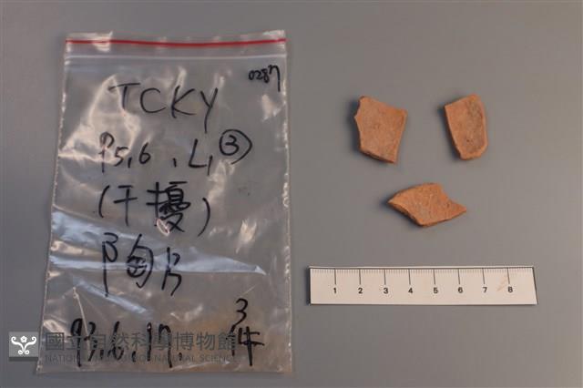 陶片藏品圖，第2張