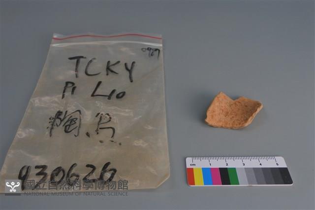 陶片藏品圖，第2張