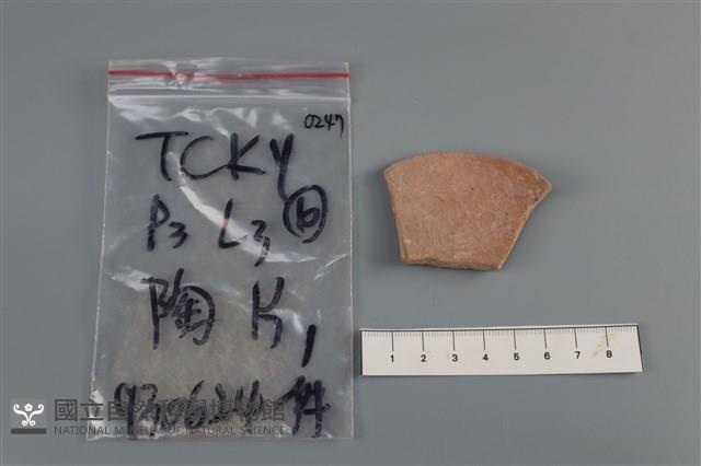 陶片藏品圖，第2張