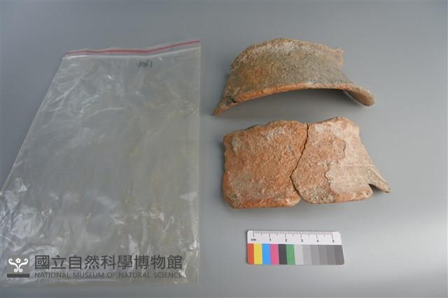 陶片藏品圖，第2張