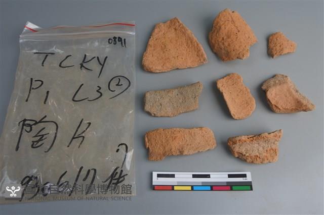 陶片藏品圖，第2張