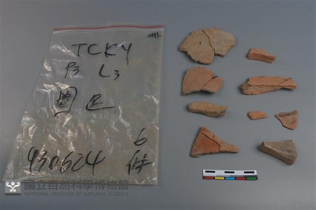 陶片藏品圖，第2張