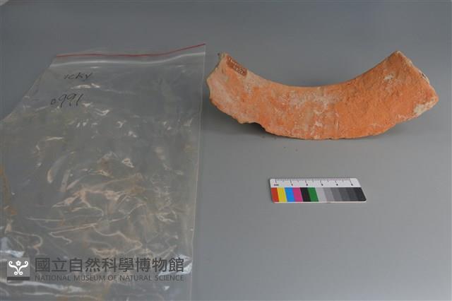 陶片藏品圖，第2張