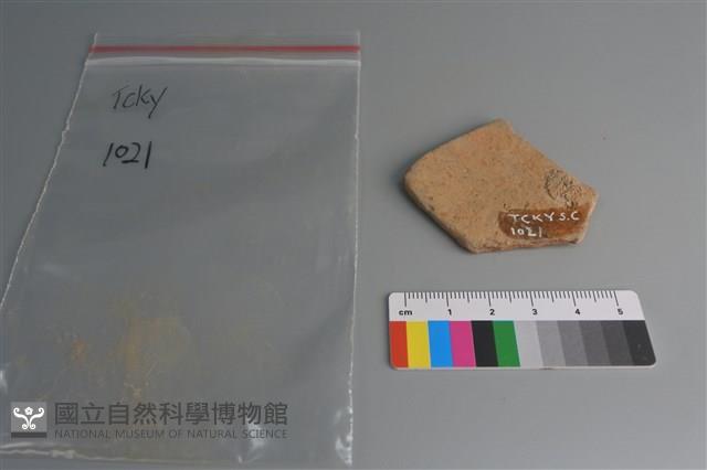 陶片藏品圖，第2張