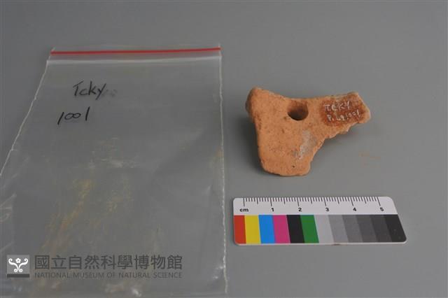 陶片藏品圖，第2張