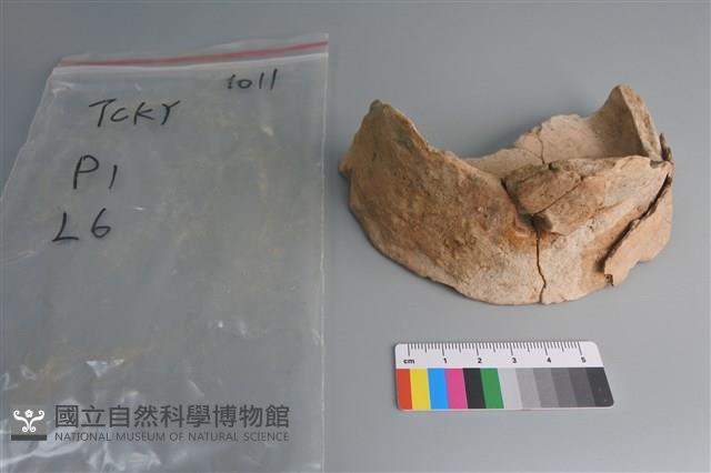 陶片藏品圖，第2張