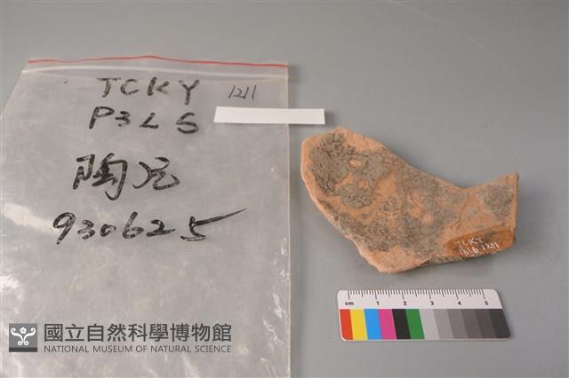 陶片藏品圖，第2張