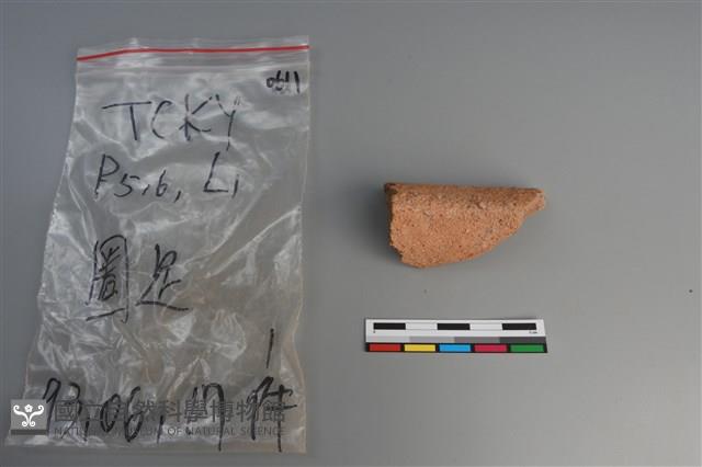 陶片藏品圖，第2張