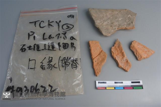 陶片藏品圖，第2張