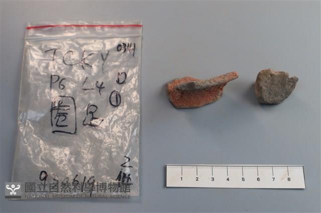 陶片藏品圖，第2張
