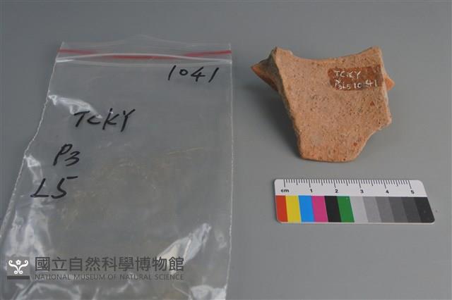 陶片藏品圖，第2張