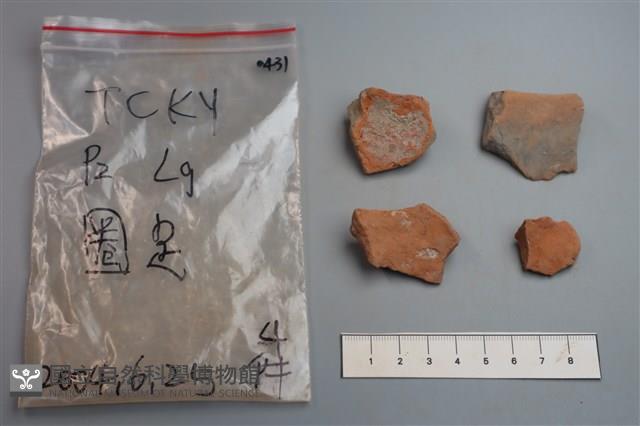 陶片藏品圖，第2張