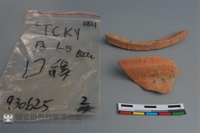 陶片藏品圖，第2張