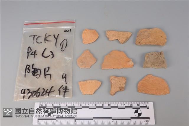 陶片藏品圖，第2張
