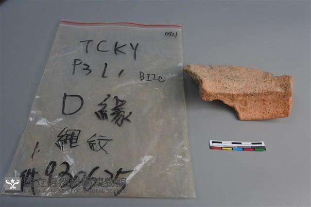 陶片藏品圖，第2張