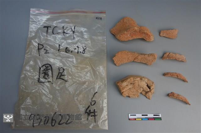 陶片藏品圖，第2張