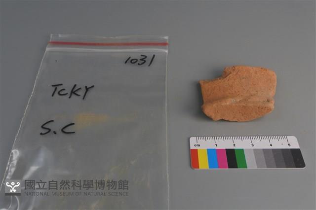 陶片藏品圖，第2張