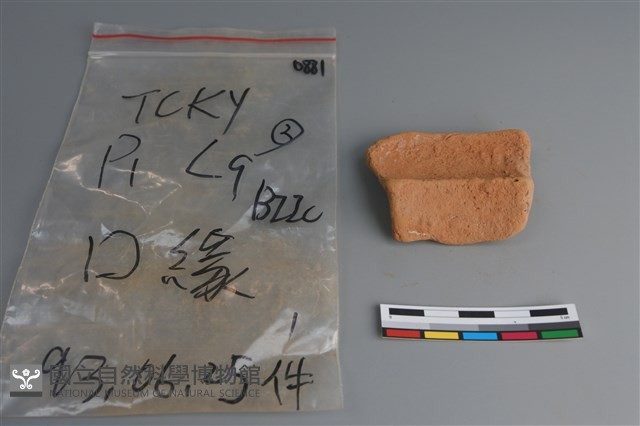 陶片藏品圖，第2張
