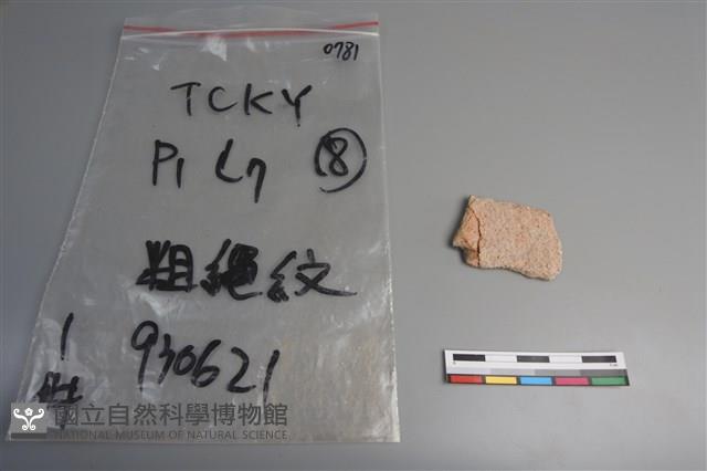 陶片藏品圖，第2張