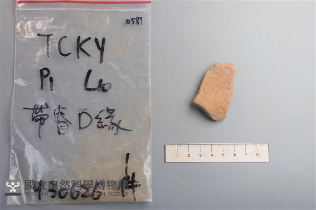 陶片藏品圖，第2張